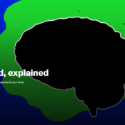 mind
